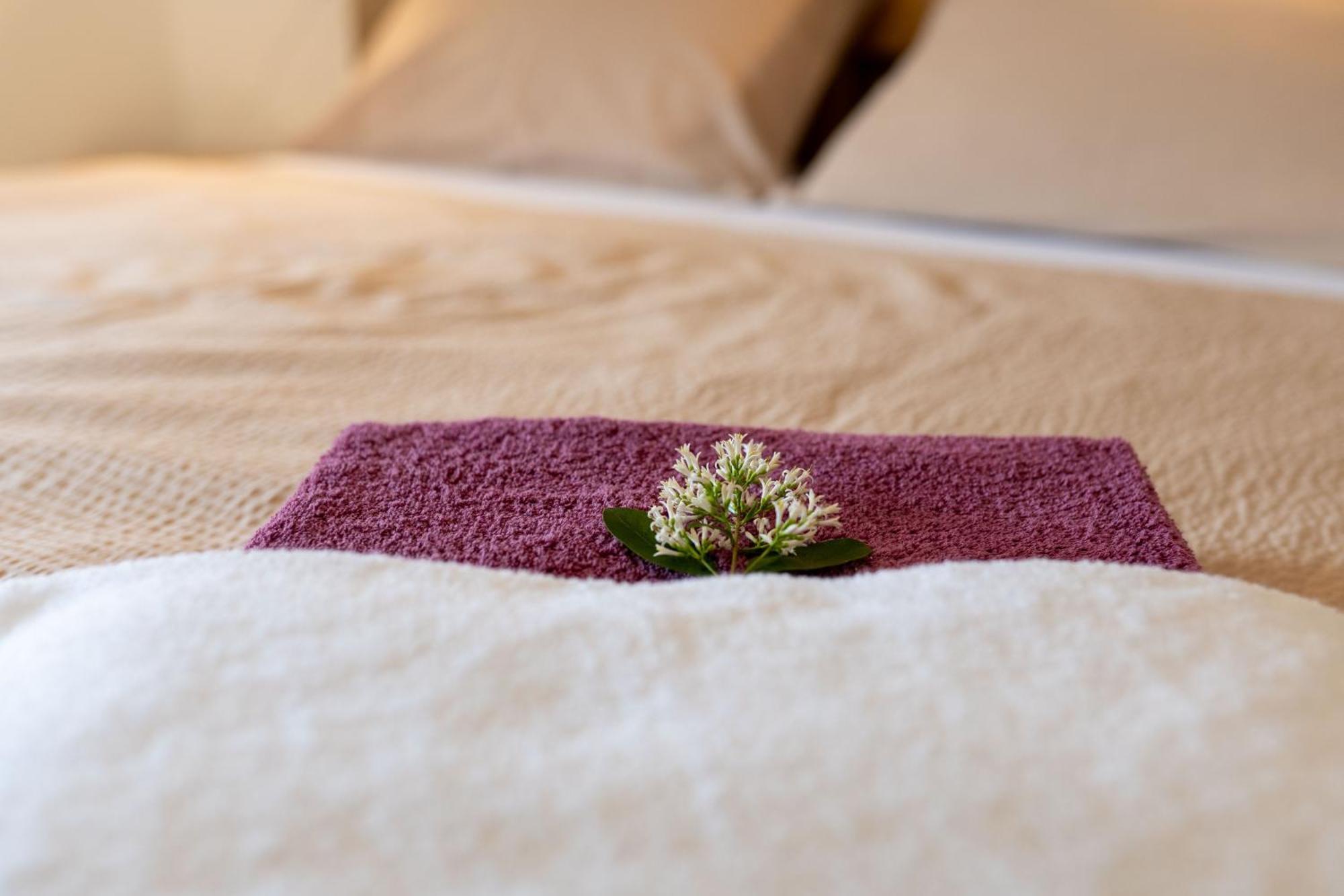 Papi Apartman Valtice Zewnętrze zdjęcie